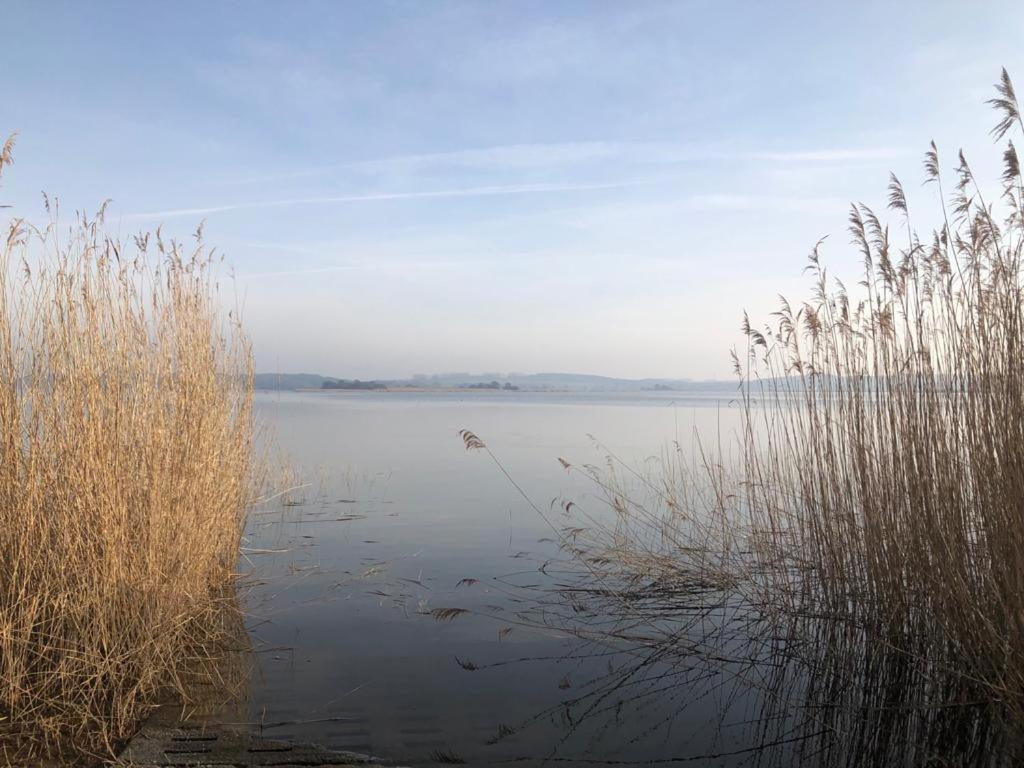 Ferienwohnung Seeblick - Insel Usedom Balm Ngoại thất bức ảnh