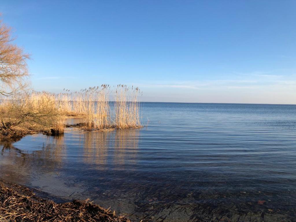 Ferienwohnung Seeblick - Insel Usedom Balm Ngoại thất bức ảnh